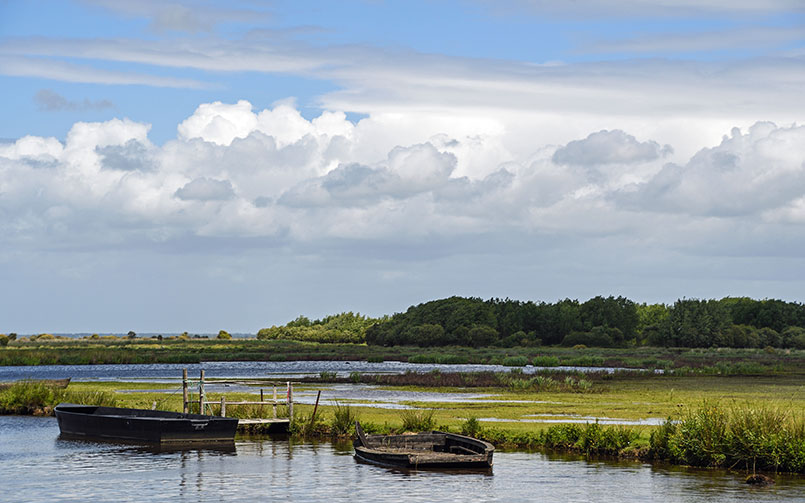 Les marais de brière